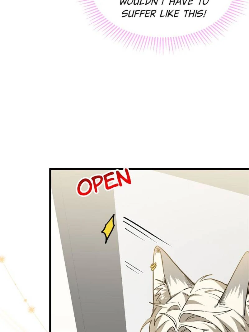 82152350 800 1067 42008